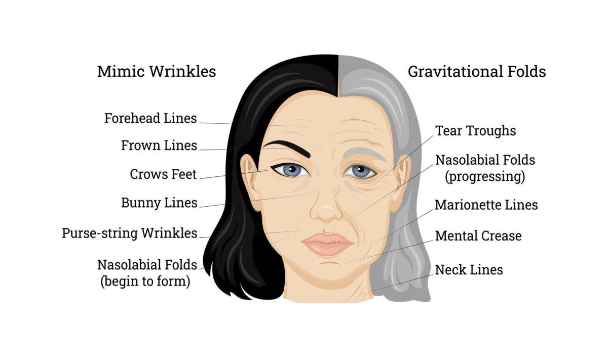 The secret to reducing wrinkles by 36% in 4 weeks - Kandyway